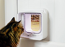 Cat looking through Microchip Cat Flap Connect