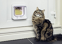 Cat next to Microchip Cat Flap Connect