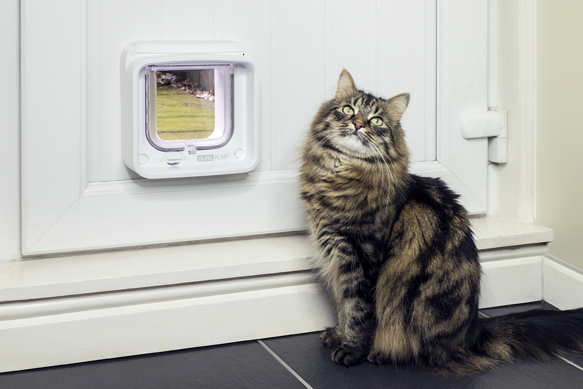 Cat sitting next to a SureFlap Microchip Cat Flap Connect