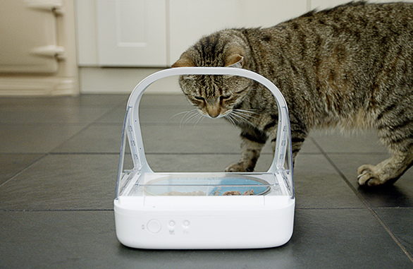 FurBabyFeeder Premier Microchip Pet Feeder