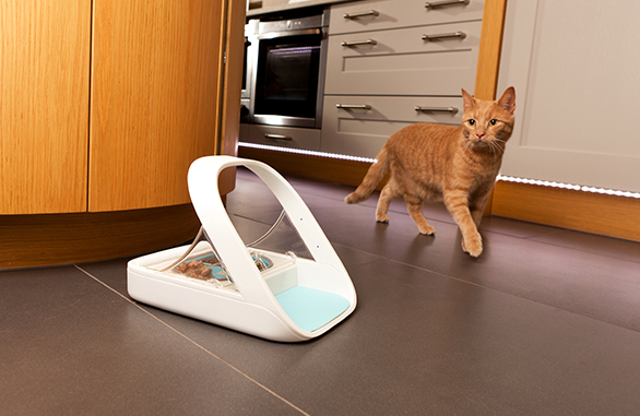 FurBabyFeeder Premier Microchip Pet Feeder