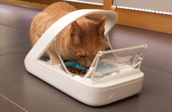 The SureFeed Microchip Pet Feeder from Sure Petcare