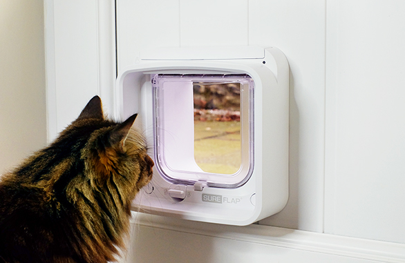 Microchip Cat Flap Connect