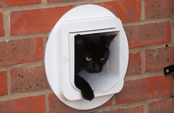 The Sureflap Microchip Cat Door Keep Unwanted Cats Out