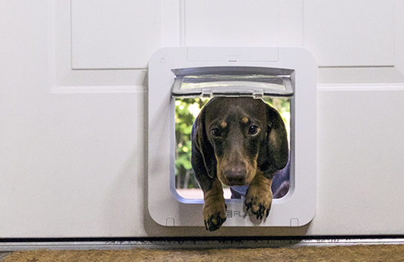 The SureFlap Microchip Pet Door Connect from Sure Petcare