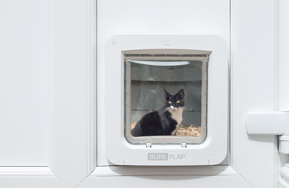 Sureflap microchip cat flap with shop hub