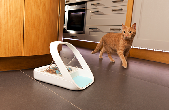 SureFeed Microchip Pet Feeder Review - Does It Really Work?