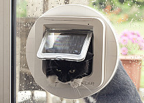 cat-through-sureflap-microchip-catfalp