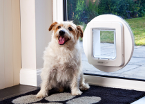 SureFlap-Microchip-PetDoor-Gla