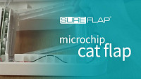 Replacing the door on the SureFlap Microchip Cat Flap