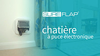 Remplacement de la porte SureFlap