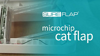 Replacing the door on the SureFlap Microchip Cat Door
