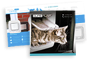 Download Sure Petcare product brochure