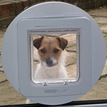 “A SureFlap Pet Door melhorou muito minha vida. Eu sabia que tinha que deixar nossa cadela entrar...