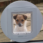 "The SureFlap pet door has substantially improved my life. I was aware of having to let the dog...