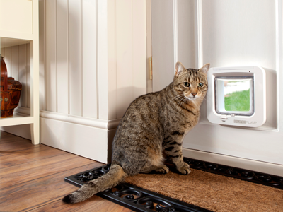 sureflap microchip pet door batteries