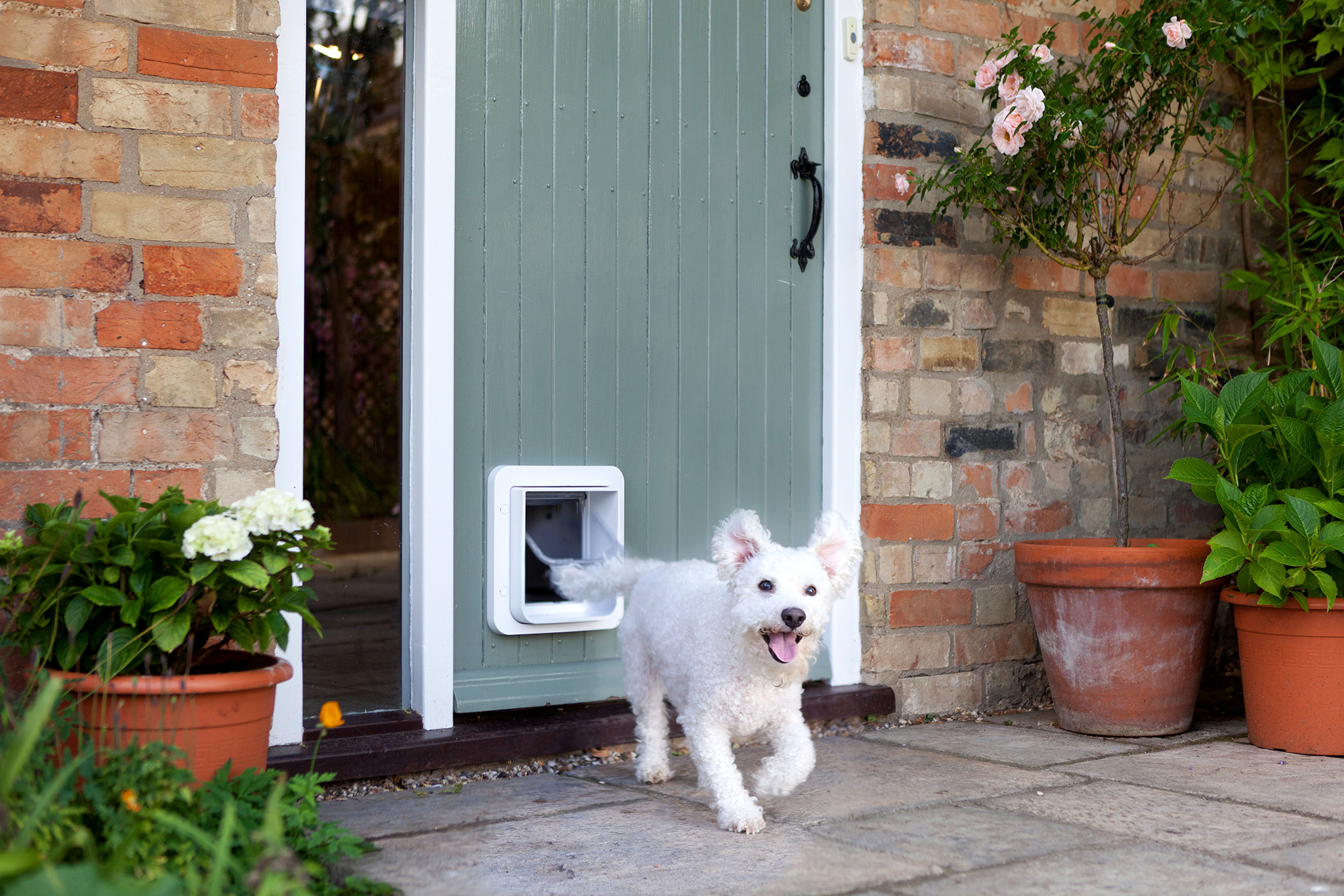 exterior door with window and dog door