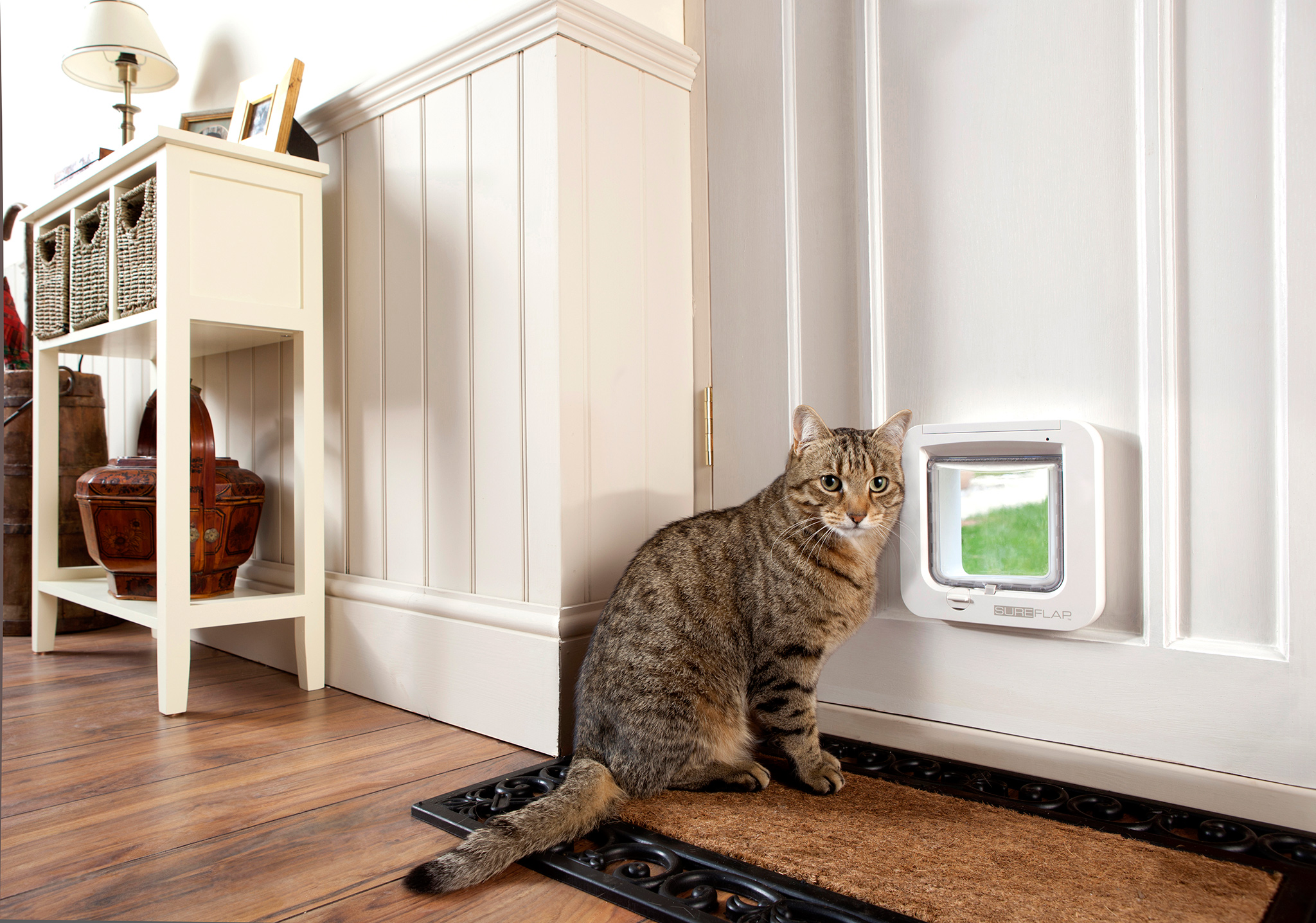 fitting a cat flap in a wall