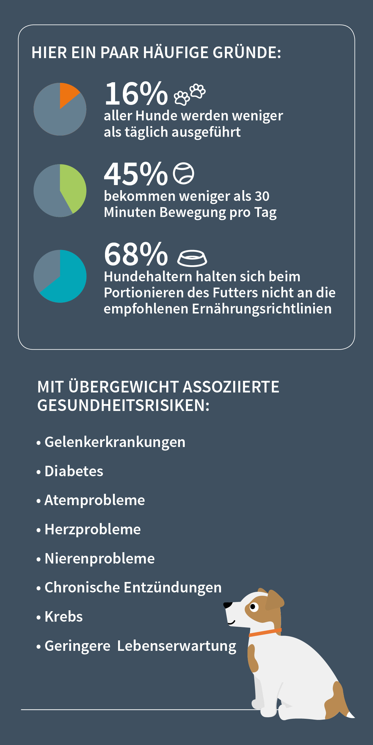 Übergewicht bei Hunden - Infografik 2