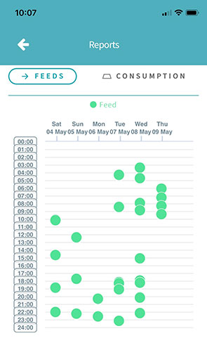 Paddocks the cat feeds report