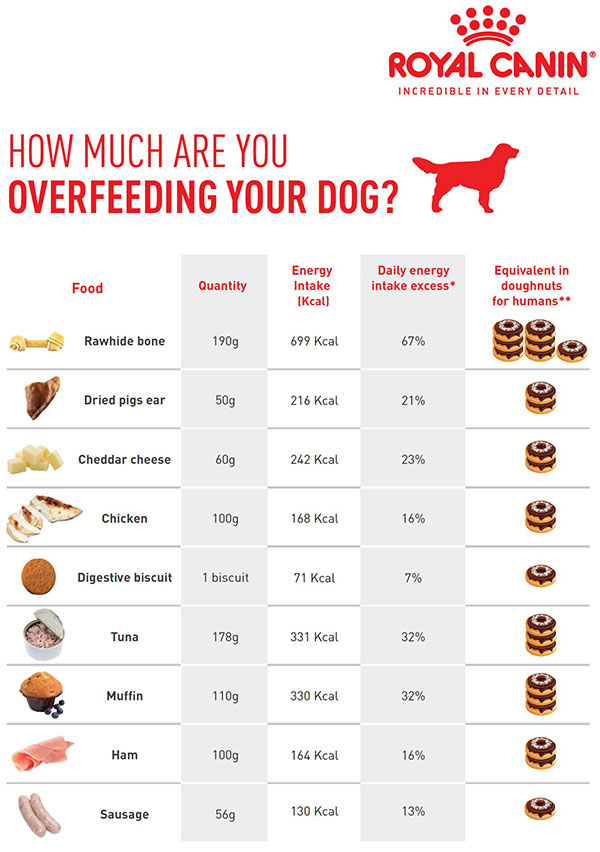 Royal Canin chart of dog treats