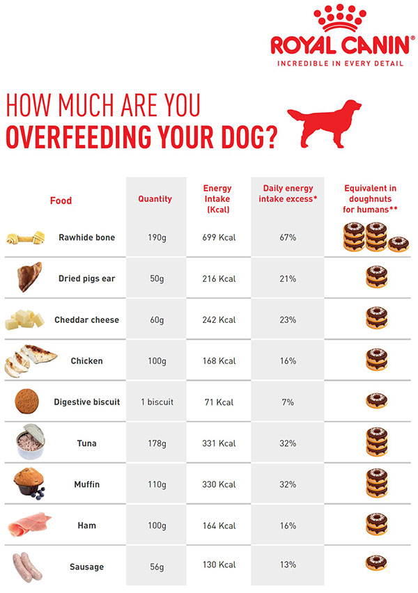 High calorie diet for dogs sale