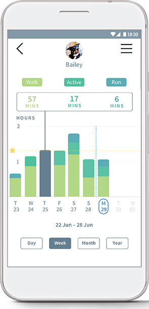 Animo activity graph