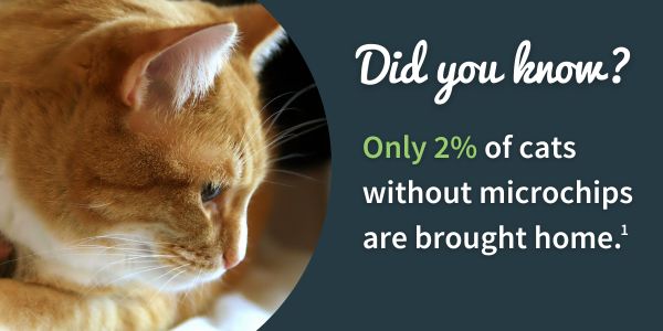 2% of cats are microchipped image