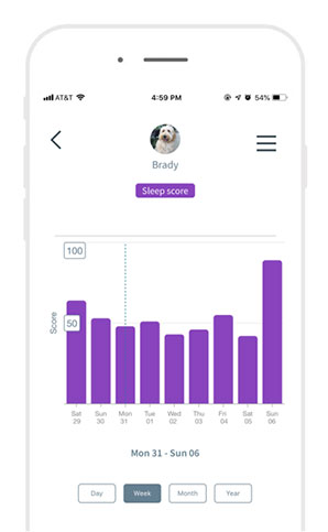 Brady's sleep score after more blankets