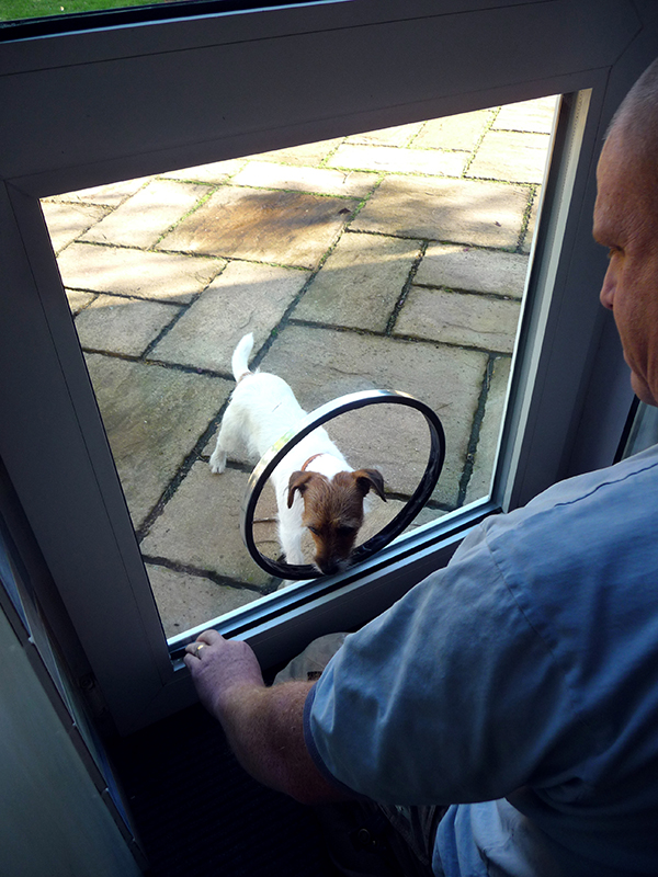 Installing the Pet Door