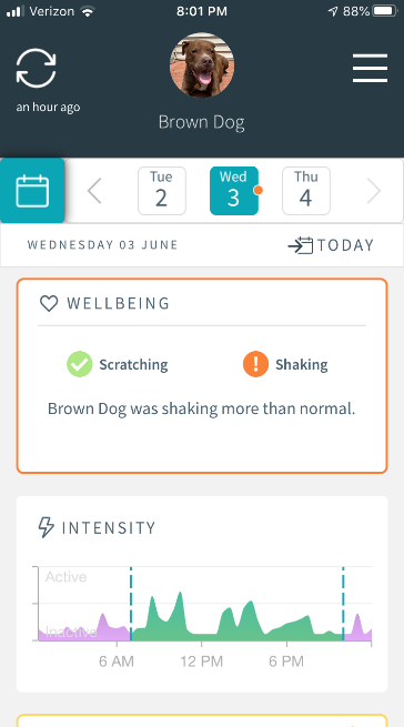 Brown Dog's Data
