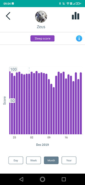 Zeus the dog's sleep score