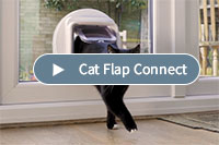 Cat Flap Connect Video