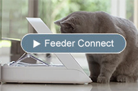 Microchip Pet Feeder Connect video