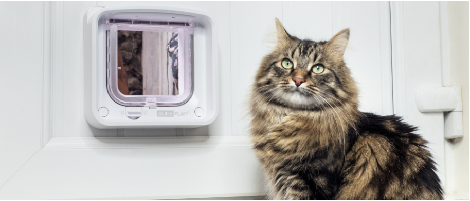 sureflap microchip cat feeder for sale in canada sureflap microchip cat feeder for sale in canada