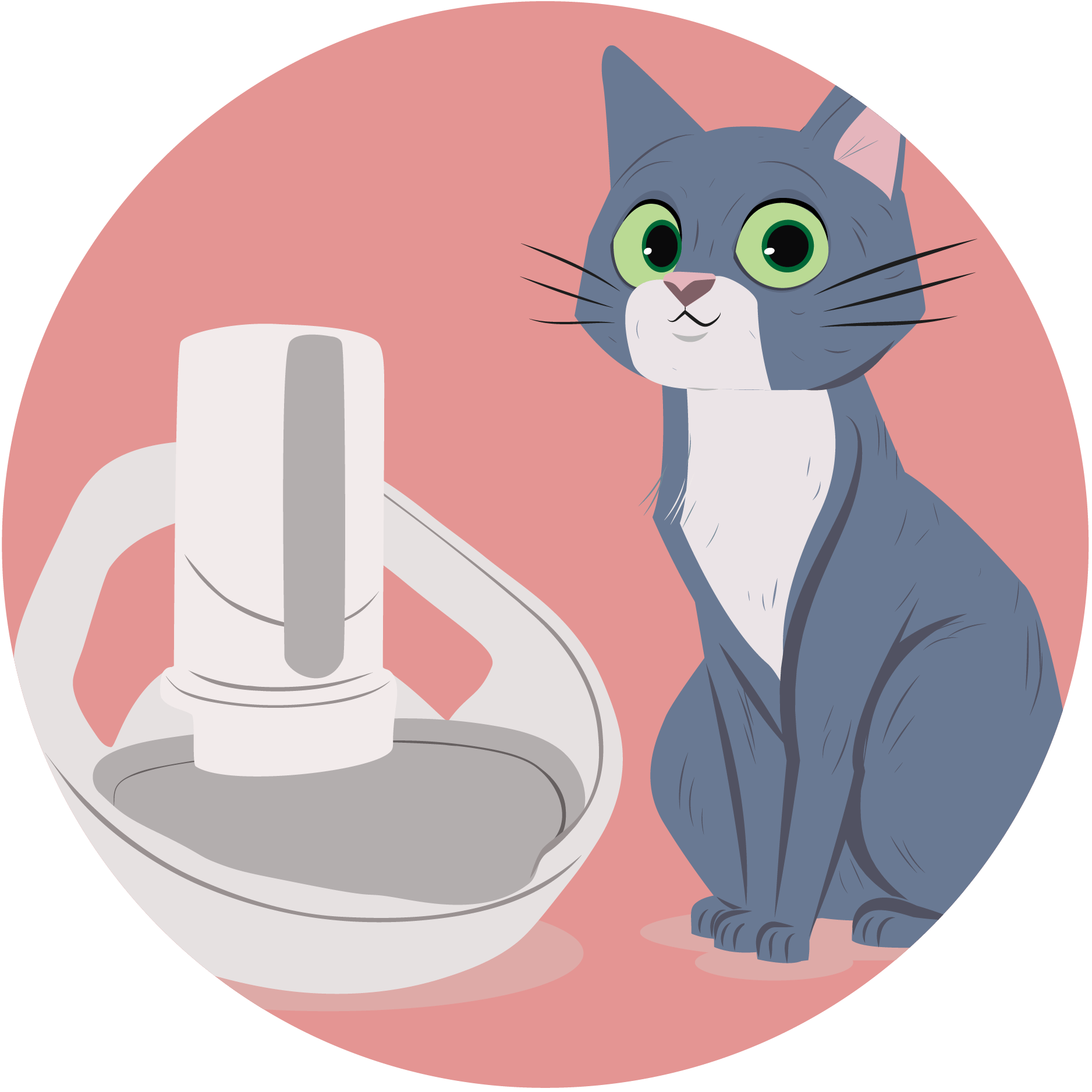 Common health issues that can show in your cat’s drinking behaviour