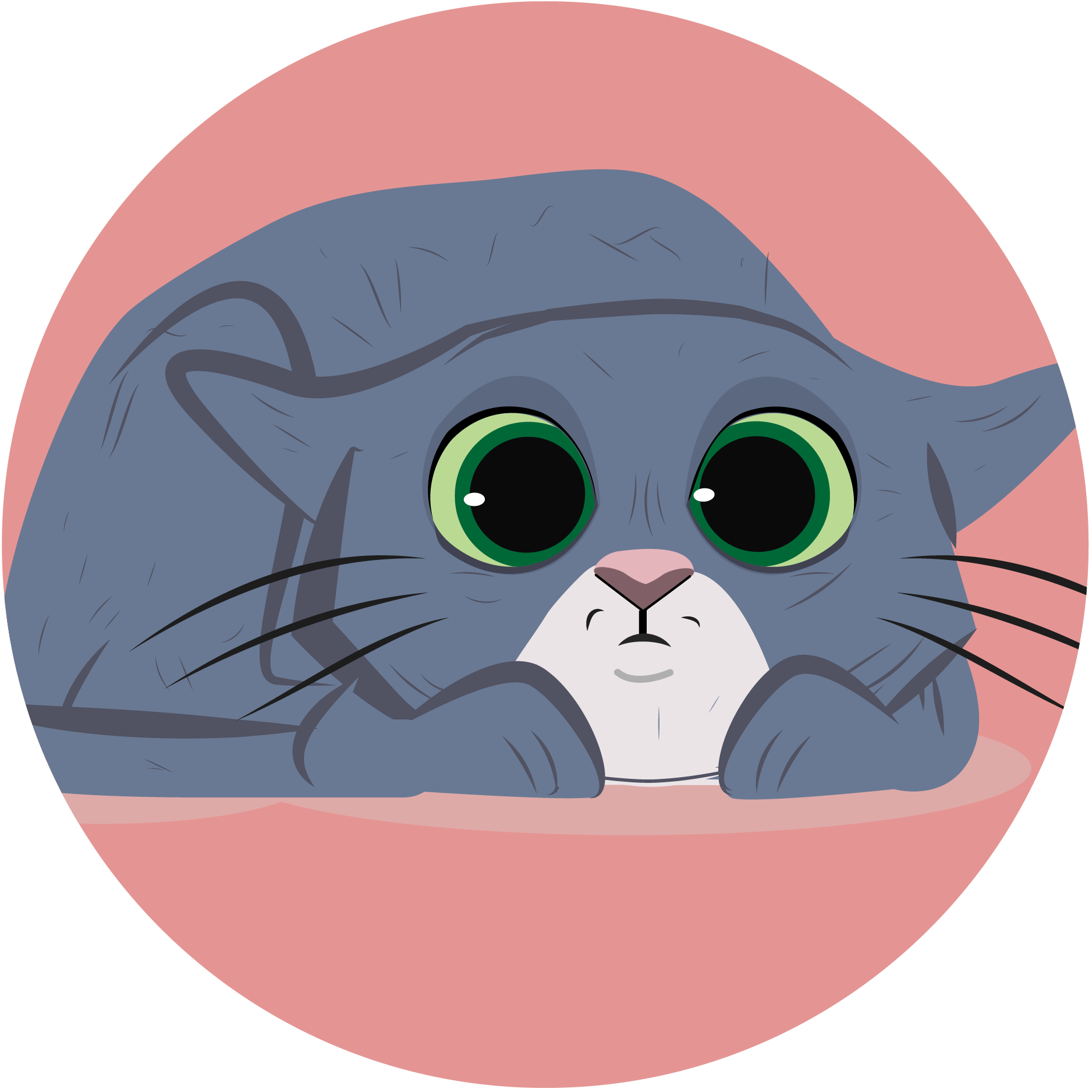 Reading your feline for a better understanding of their wellbeing and needs: feline body language