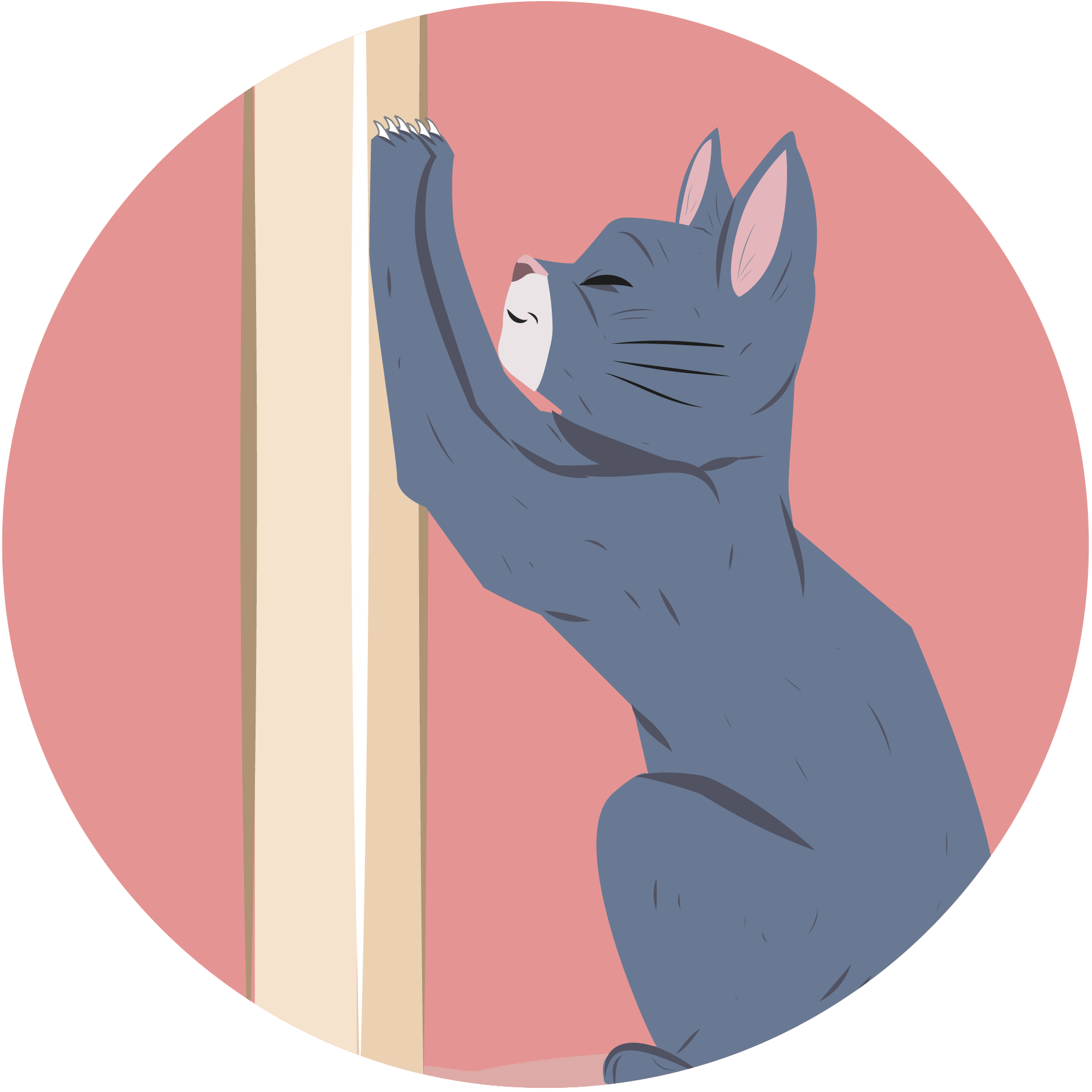 Reading your feline for a better understanding of their wellbeing and needs: natural feline behaviours