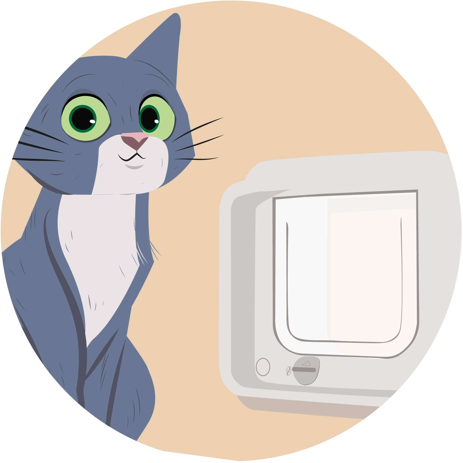 How the right cat door can help reduce your cat’s stress