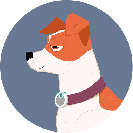 How much exercise does your dog get