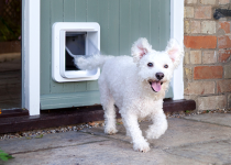 SureFlap-Microchip-PetDoor-doo