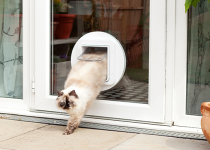 SureFlap-Microchip-PetDoor-Gla